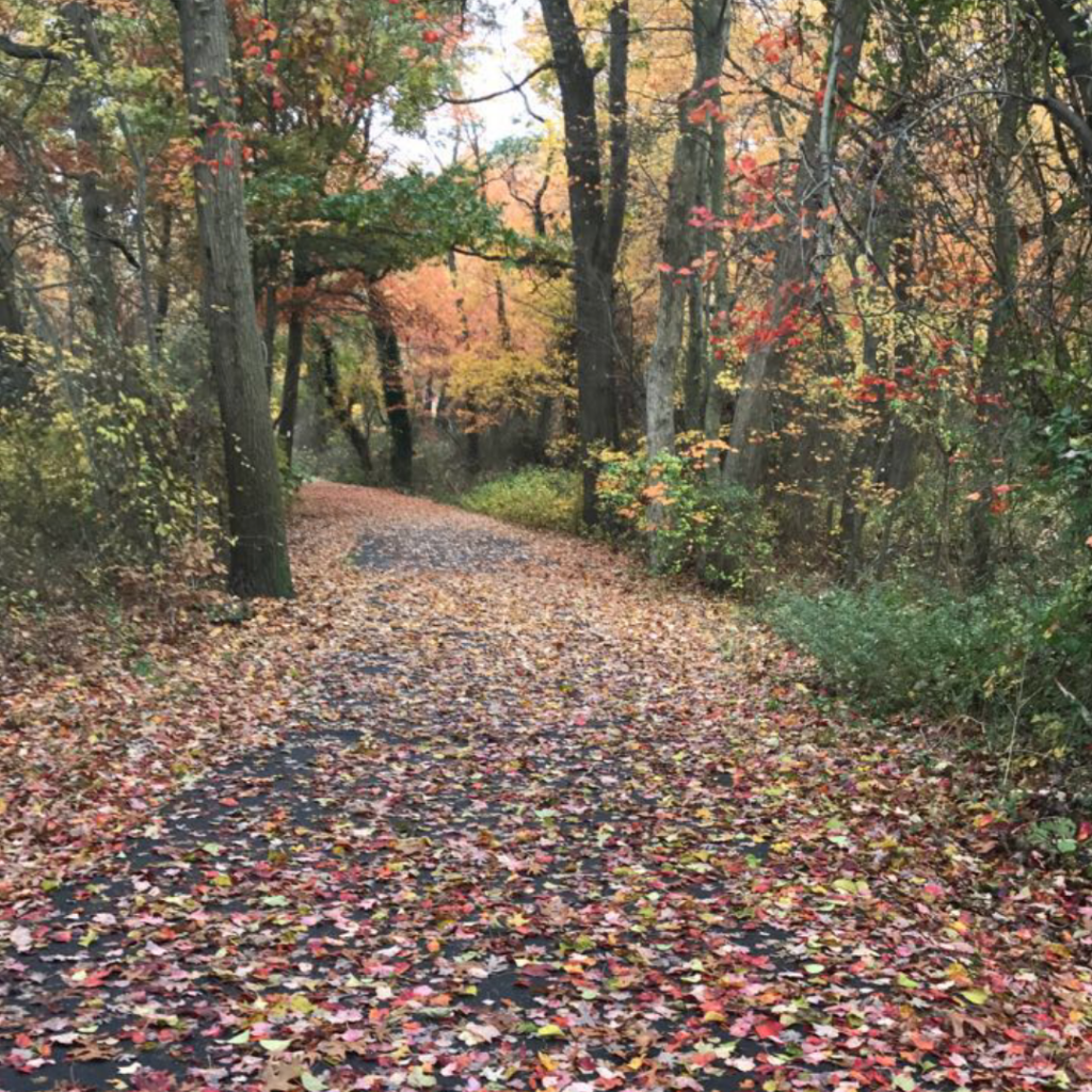 peter schmitt preserve massapequa weather